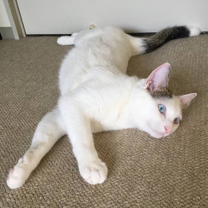 B2aa6f08 9674 420f bfee b75a44b8a49d