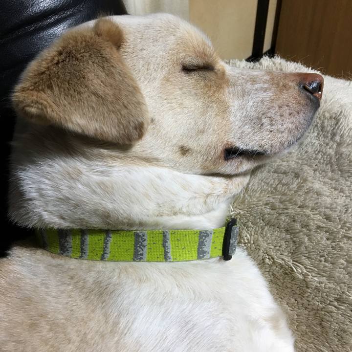 B2aa8101 3d68 4999 a090 bdbdfc79844f