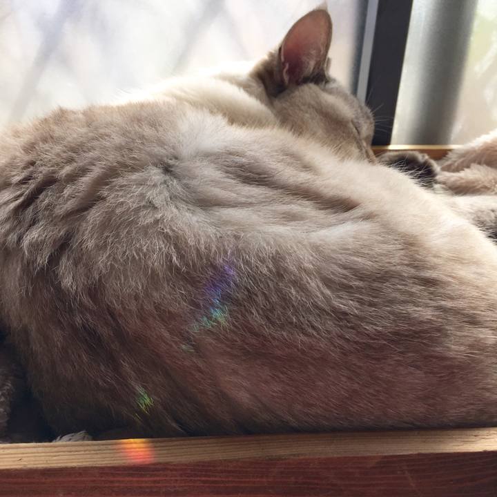 B2ab149f 35f6 480c b181 26f97827780b