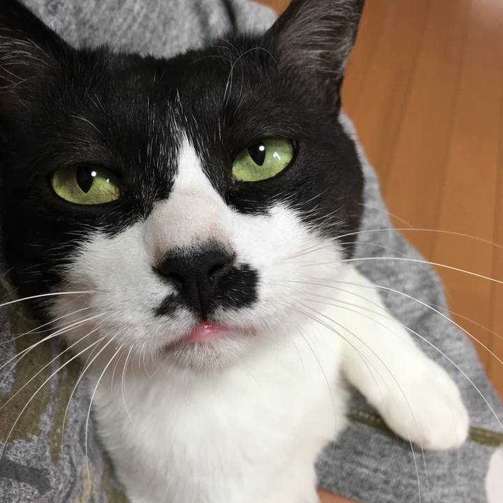 B2ab7049 a326 47fb b779 b1dc0ecd80d4