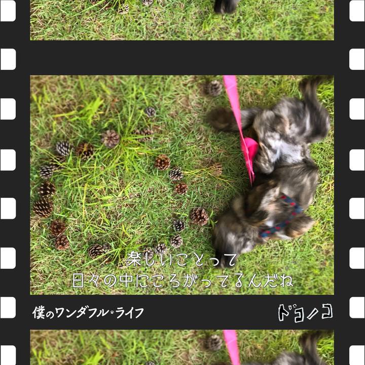 B2ac0590 5d02 4cc6 8e59 dc1505f2fd7a