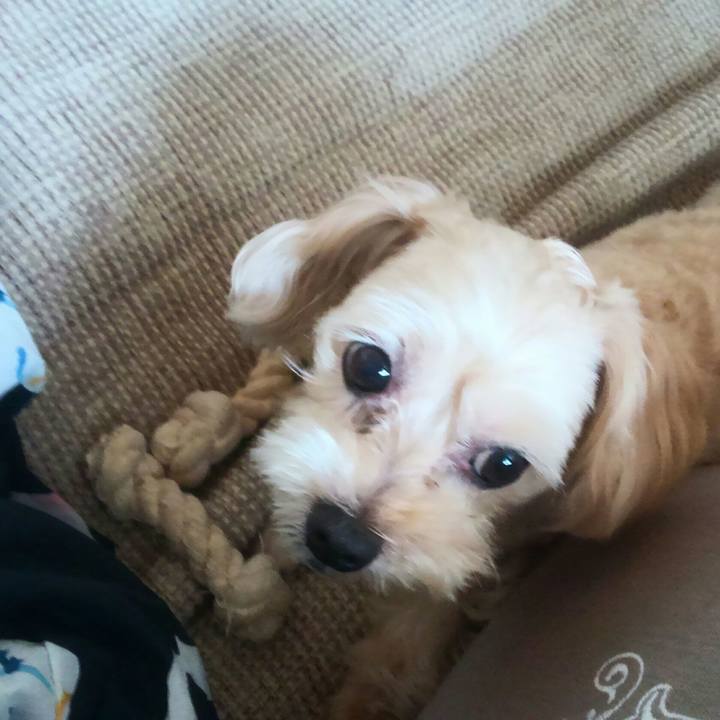 B2ac0a41 c784 4a46 90ae baa95772bbcd