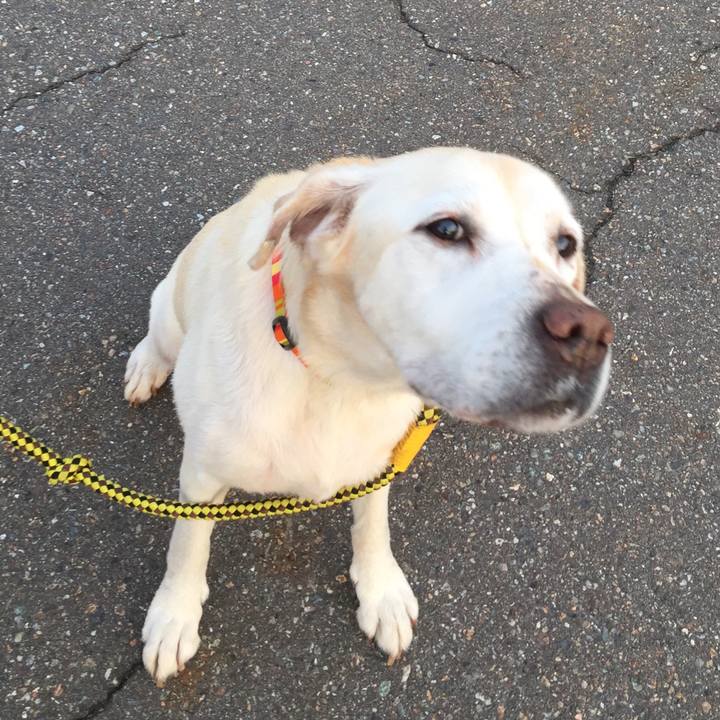 B2aca0f4 461f 4b20 b92b 9cab86103ae9