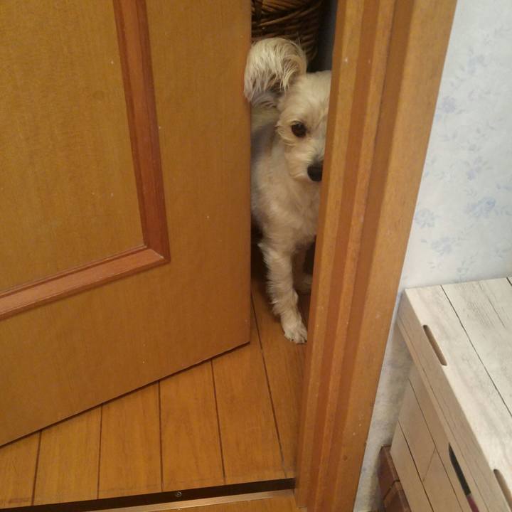 B2ad2c3b 2dd4 48e2 9762 3f6a38157682