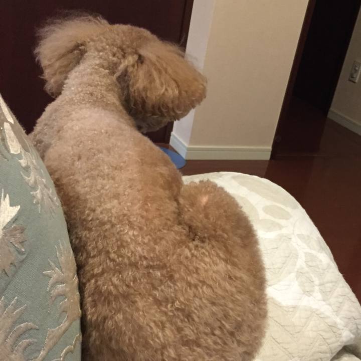 B2ad37ef 9dcd 429c 8c17 14c404fb5acd