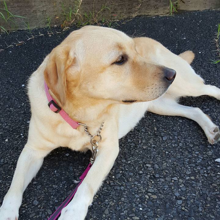 B2adb4bd 3760 4248 9e17 1395c8f47b70