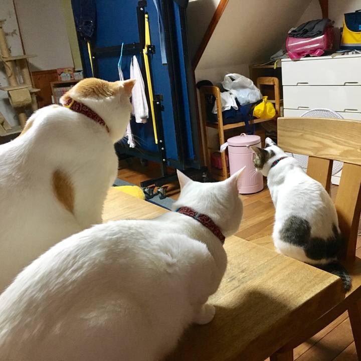 B2adc306 16ae 4bdd bfe9 f776e0edeece