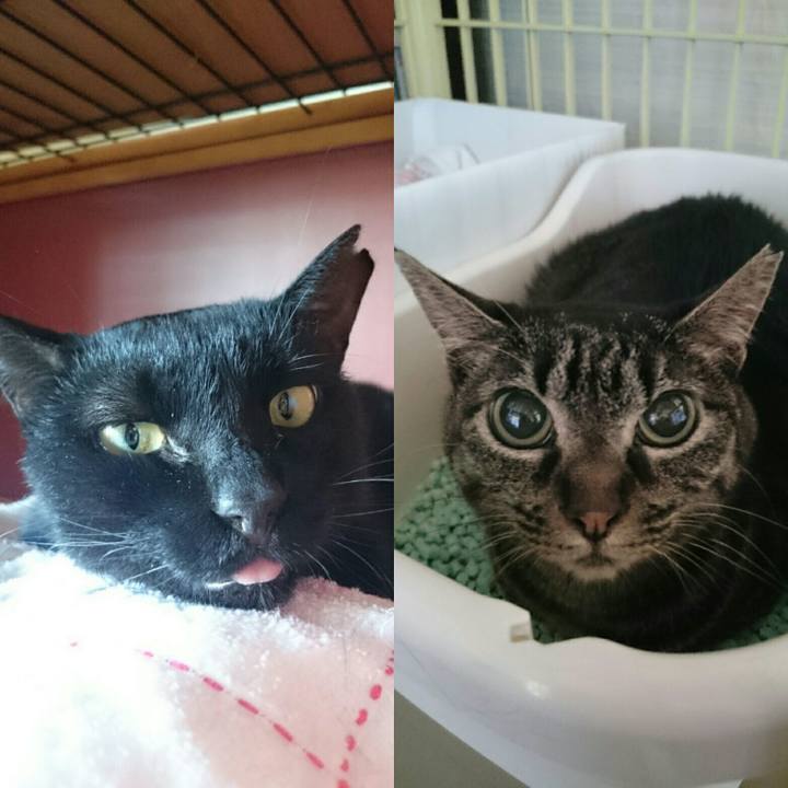 B2ae6ec9 bb7b 4794 8f19 b63fd96ac98c