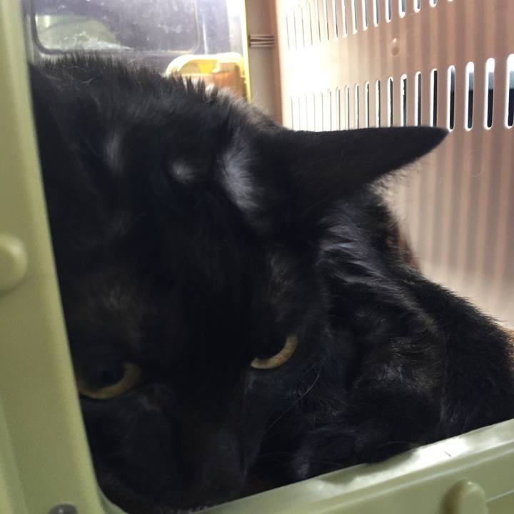 B2ae75ad 11a1 48c8 bfed 3a9a02a806b8