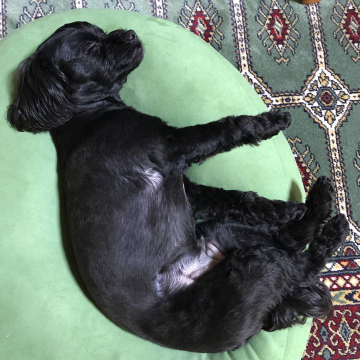 B2aee14f 850b 4300 93d6 4a164b0ed77b