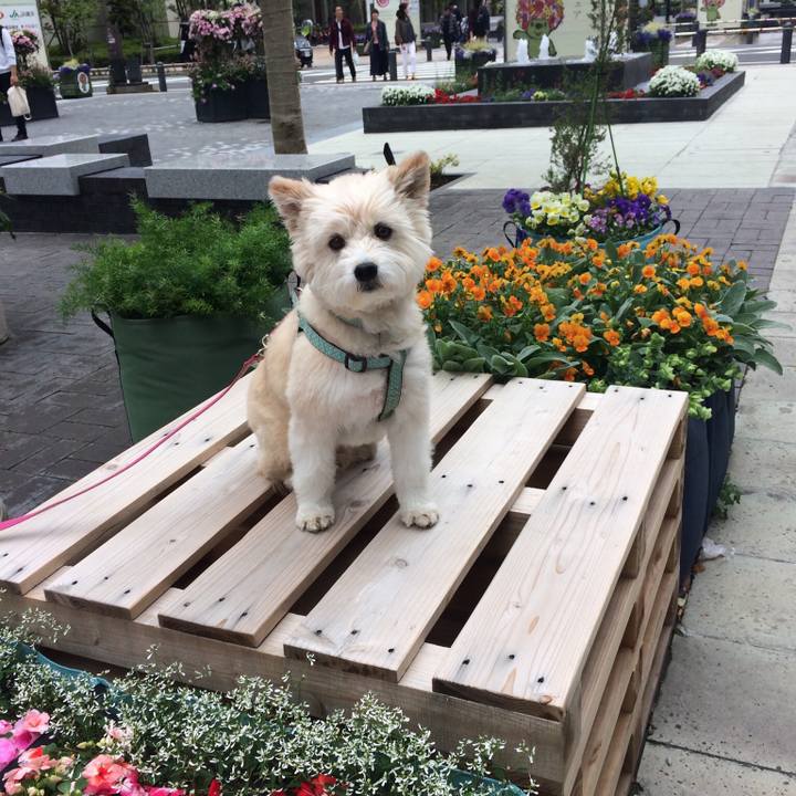 B2af817a e105 4a6c 95f3 a9841e8c7844