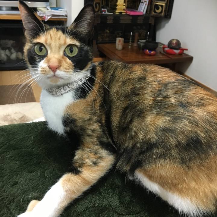 B2af9374 c23d 4a93 8c51 b05e88710c4d