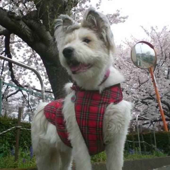 B2b04e10 7f65 4853 a872 607ec5cc62ae