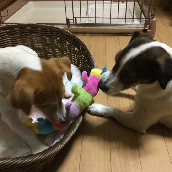 B2b16b78 ca3f 4b30 9576 edd583e2a882