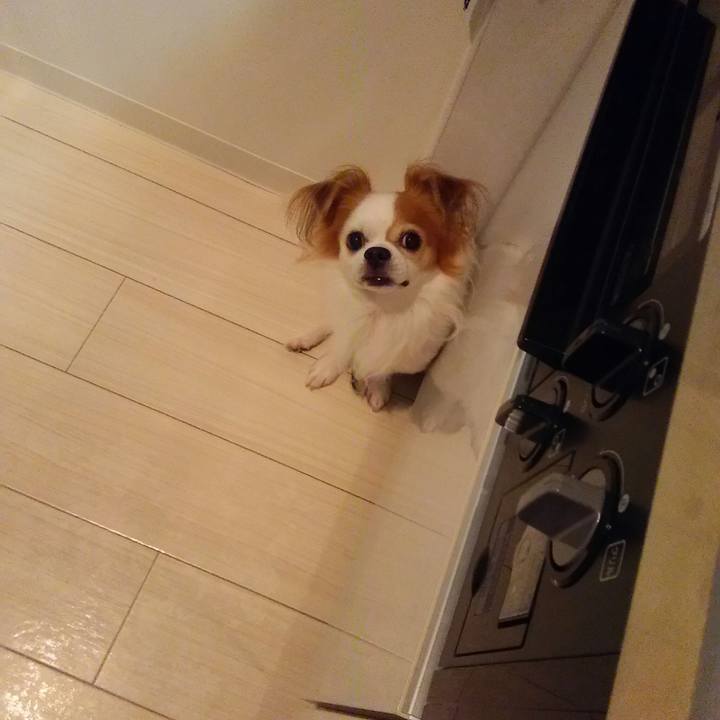 B2b16bd7 9ced 4bf3 9948 478ebf016c70