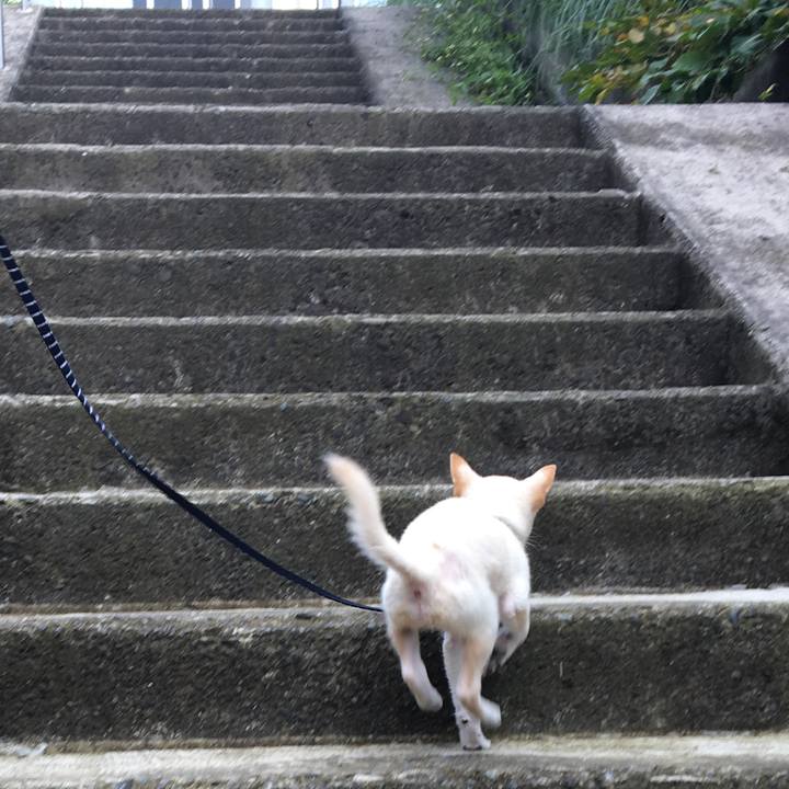 B2b22ff5 1062 415d 8c60 0bde7a803f50