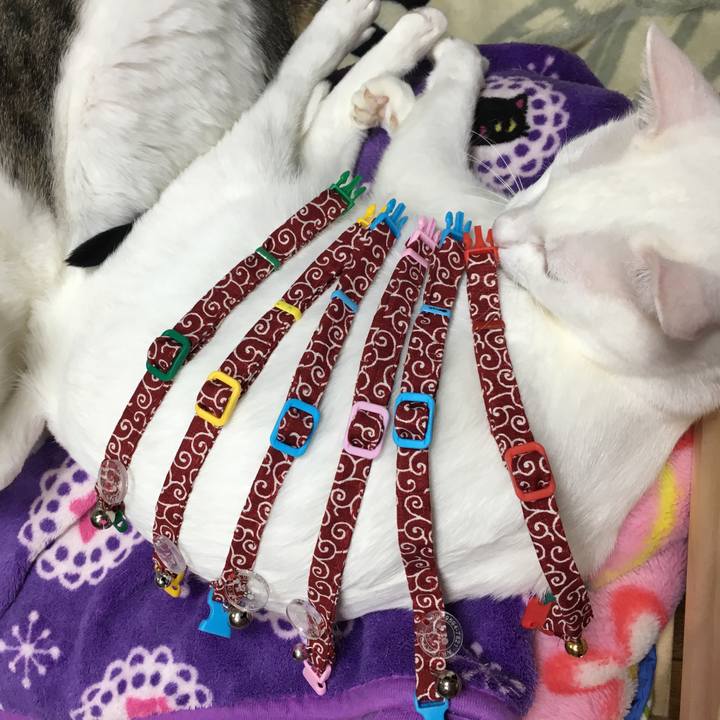 B2b27dc5 43f9 46b2 a797 d54c0333950e