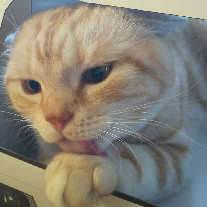 B2b28dee 5955 4ee2 81a2 50d7d3fda64a