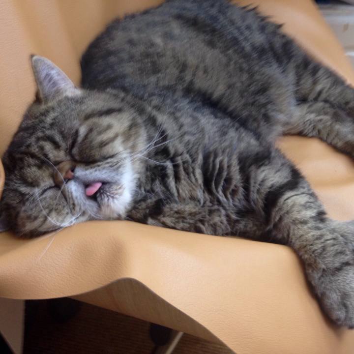 B2b30850 09a0 4df0 a944 f6d68b900665