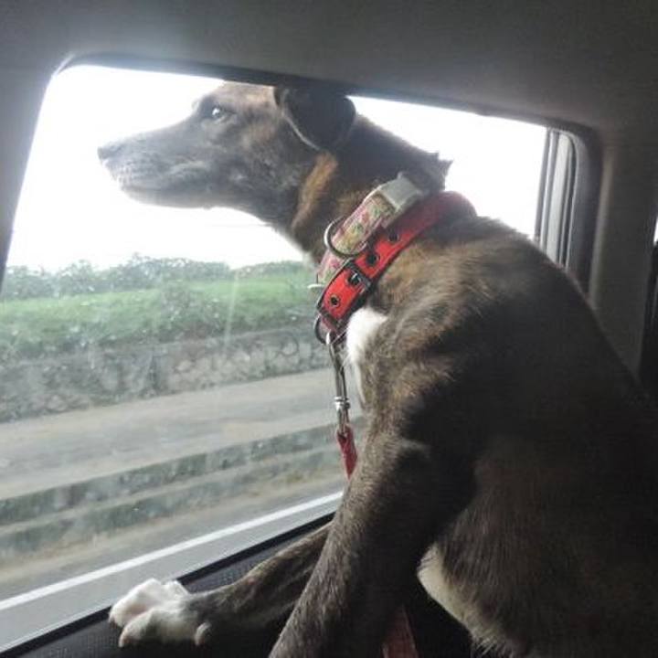 B2b39119 7215 4c22 af5c 65cddbb07332