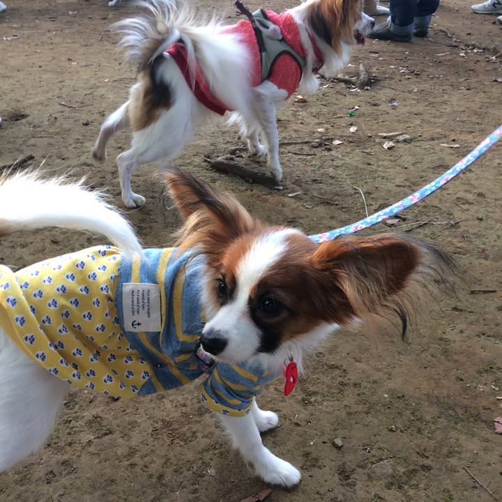 B2b42280 e5ff 4679 b137 85d65957b70c