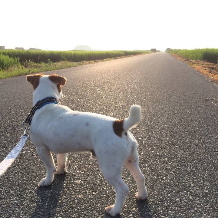 B2b4724c 3491 41f5 bcc2 bc740143ff37