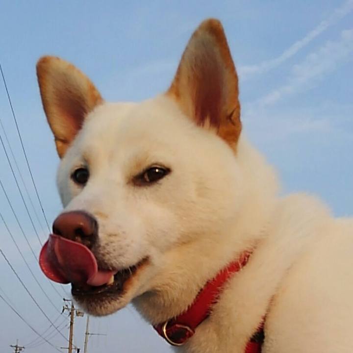 B2b4db38 76fb 4120 af77 4af2376e8faa