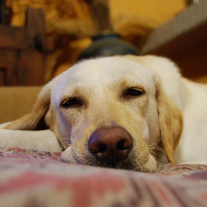 B2b4fbf0 0c83 4426 88cc 05791aaeefd8