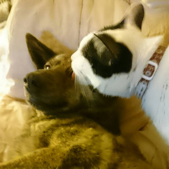 B2b559f9 4e8e 48c7 9026 ecdea82fd43c