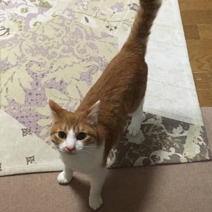 B2b5c45f 1ada 487f bd47 4978bceeee29