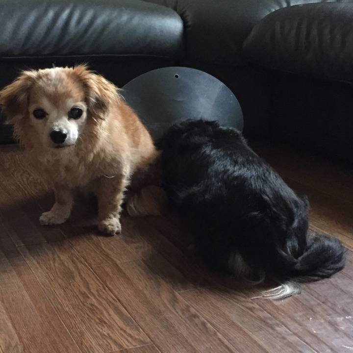 B2b69234 c71a 4fdb a74a f8bd95366640