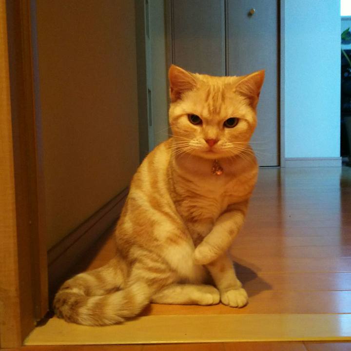 B2b78c55 e730 4837 8ca5 391b191c3afd