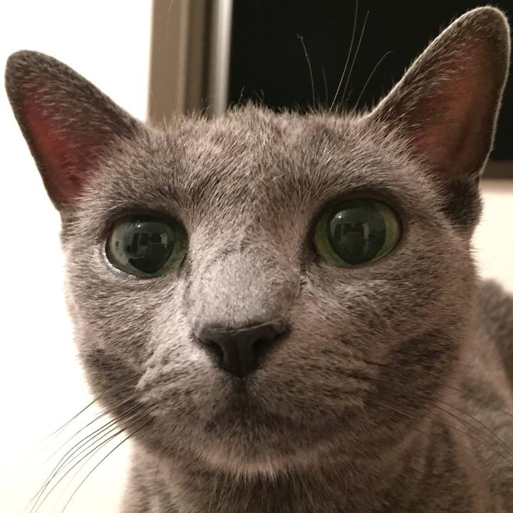 B2b78edb fe21 48d6 85f1 f21ef6d911c1