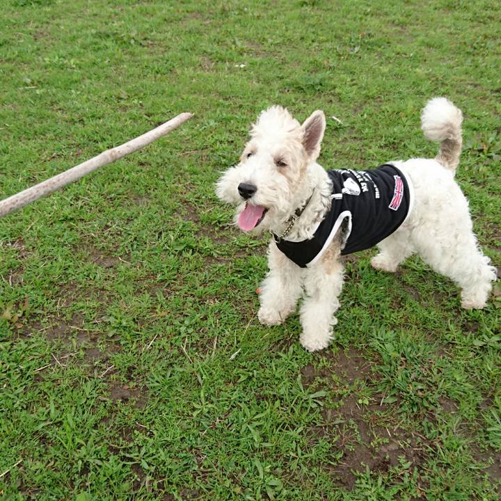 B2b79014 7173 4c3b 8888 438689e6bfe0