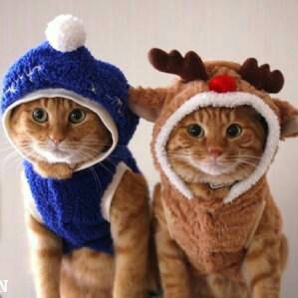 B2b7fa06 420d 4a4d b563 5f5f5fc7224c