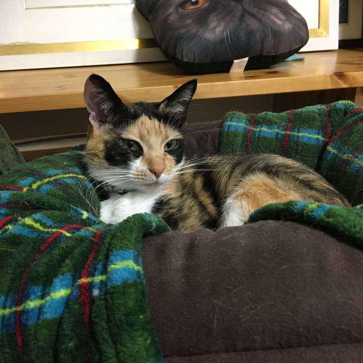 B2b852c1 d835 478a b673 a712b67a8378