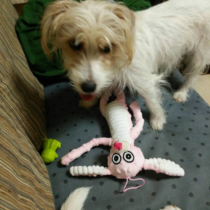 B2ba12be 0fc6 482b afc6 8ef46e32b32a