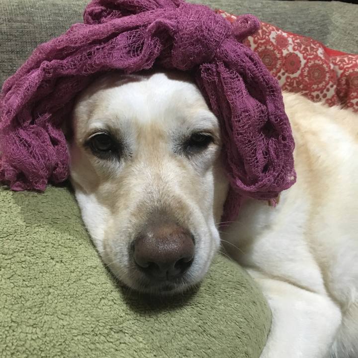 B2bba67e d068 488f 9c28 ade9ad84c18a