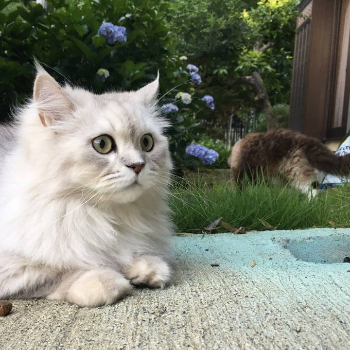 B2bba927 ff1b 44ca 93f5 19268b3a46b8