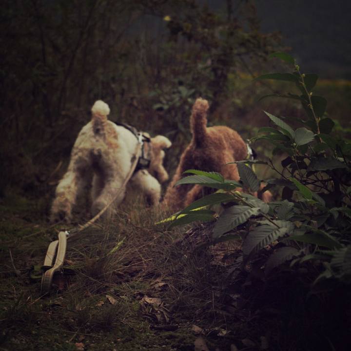 B2bc6339 c158 4751 b627 c0d86d645544