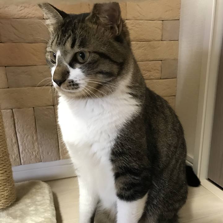 B2bcc287 feed 4292 8429 535e8f13edf8