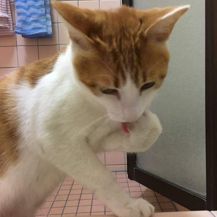 B2bcc527 bf70 41ce aa1d 91878c722060