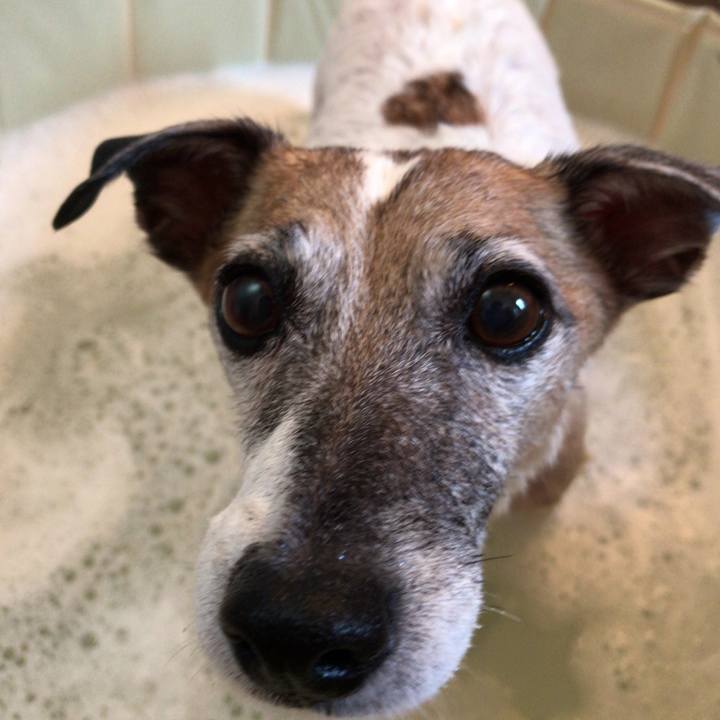 B2bd2366 e520 4575 8633 945f9d8032cc