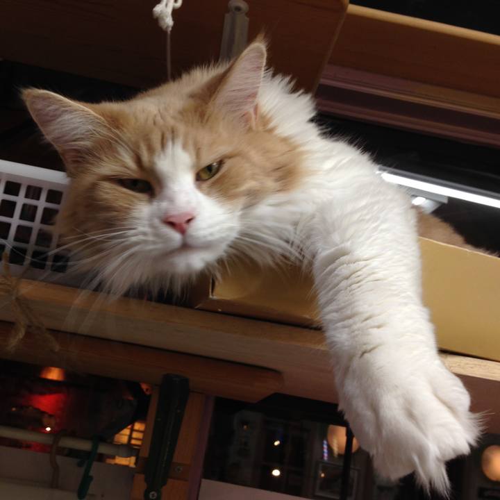 B2bd29b6 3e36 4120 a669 09779e6de27a