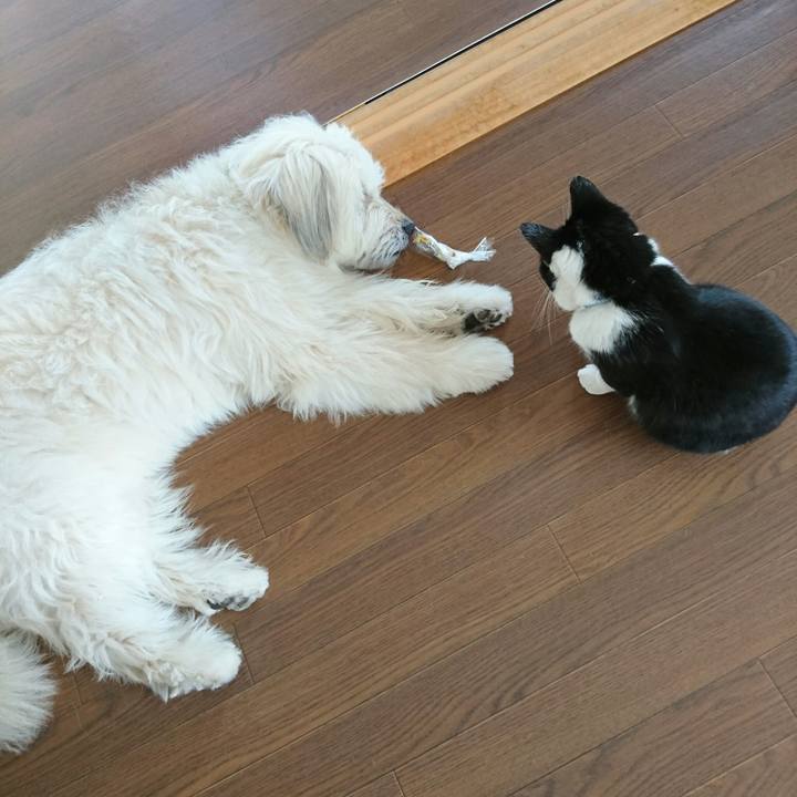 B2bd7739 ec51 43c9 bf9e b0873028a70d