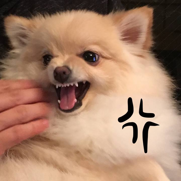 B2bdf9e3 f07e 4582 81a2 f29178bc3004