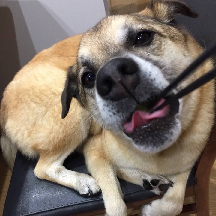 B2bf0964 94be 4425 8a53 16c7e737d308