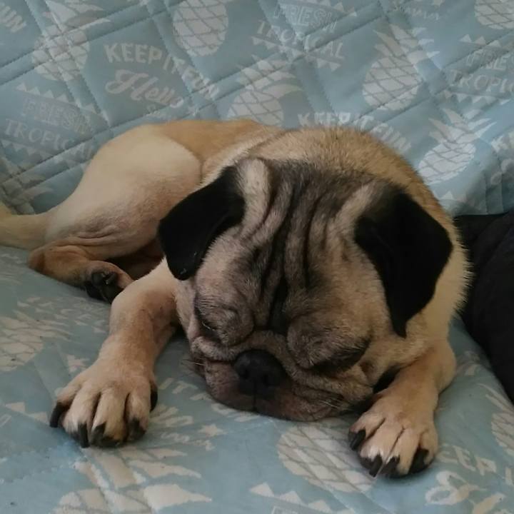 B2bfe12b 01a3 4fee a3b6 5e70efe89ab2