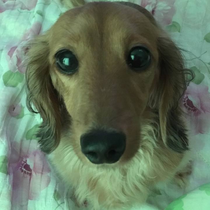 B2c141b3 9b31 46d9 98e9 b015e8a4b80e