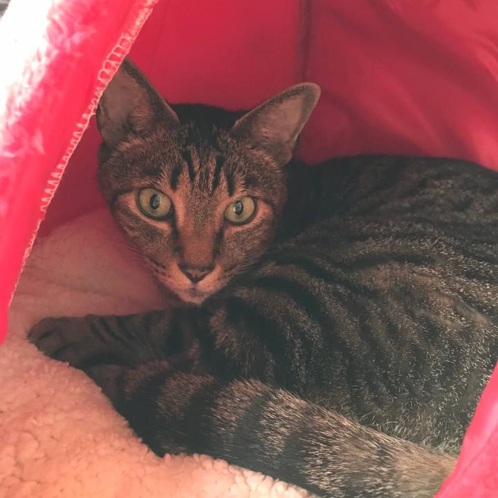 B2c1c727 2106 4169 be10 0f3a6cb4cd05